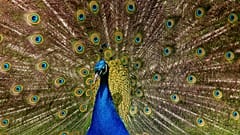 Best wildlife experiences of the month 