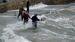 Pêche miraculeuse à Malte : des poissons "volaient" dans les rues