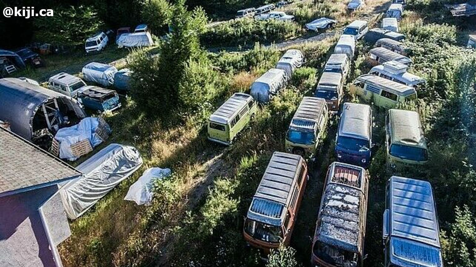 Des dizaines de Combi Volksvagen à vendre... pour 350 000$
