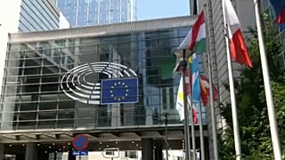 Una stagista scomoda, riforma del diritto d'autore e procura europea