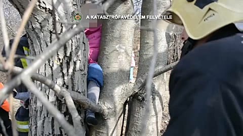 Tırmandığı ağaçtan inemeyen miniğin imdadına itfaiye yetişti