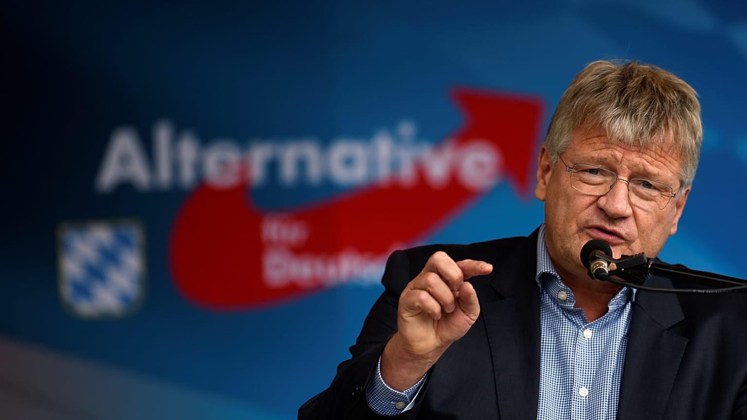 Jörg Meuthen, Alternative für Deutschland