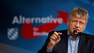 Jörg Meuthen, Alternative für Deutschland