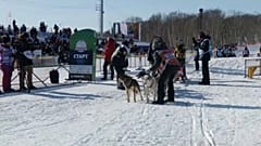 Псы готовятся к гонке на 1343 км на Дальнем Востоке