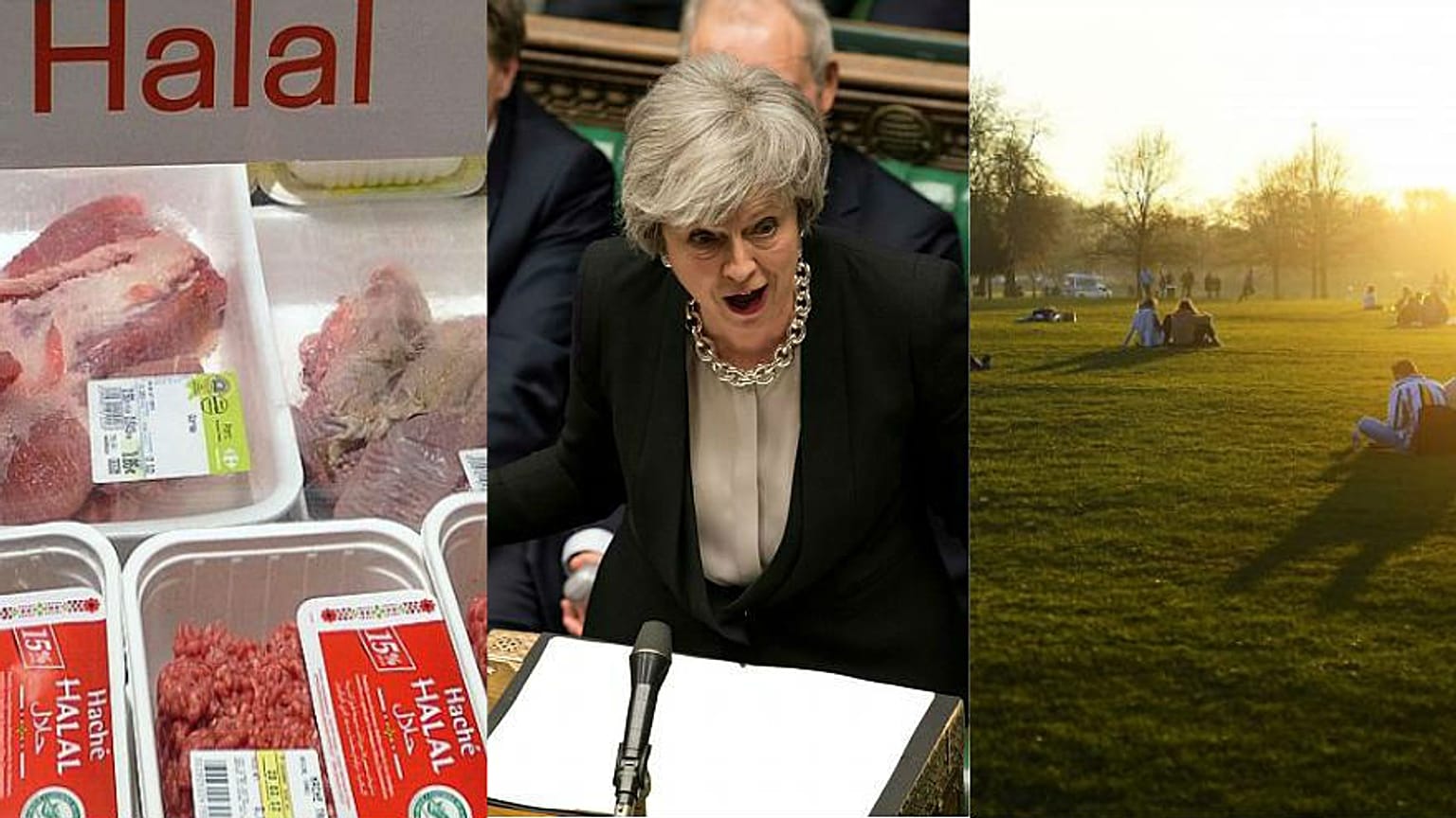Brexit latest and religious slaughter | Europe briefing