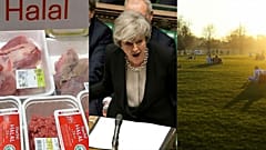 Brexit latest and religious slaughter | Europe briefing