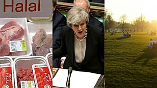 Brexit latest and religious slaughter | Europe briefing