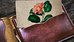 Grape skin leather is one of the alternatives. 
