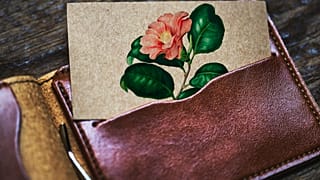 Grape skin leather is one of the alternatives. 