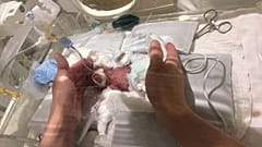 صورة للطفل الرضيع 