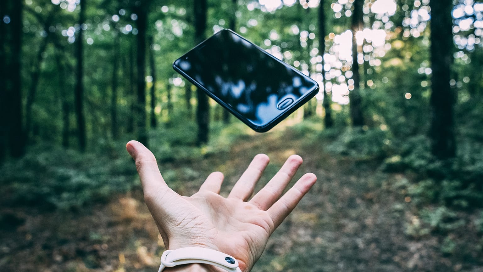 Trying to be eco-friendly? You should start with your choice of new phone