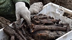 Mass World War Two graves found at Belarus building site
