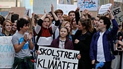 Ascensão da extrema-direita pode travar política climática