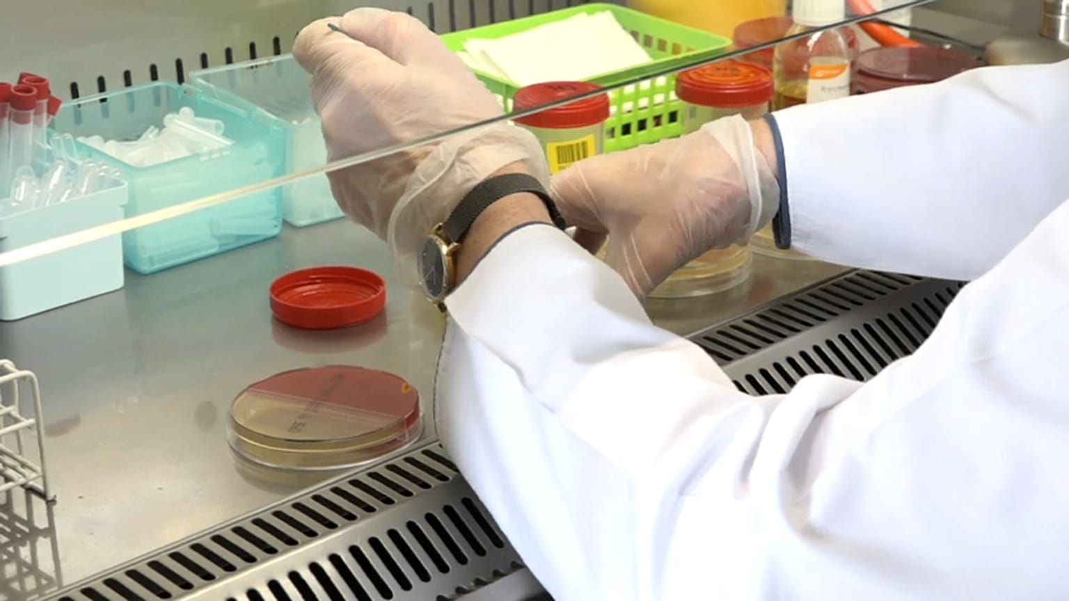 La gripe pone en jaque la vida de los polacos