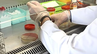 La gripe pone en jaque la vida de los polacos