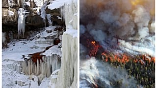 В Европе горят леса, пока Америка замерзает