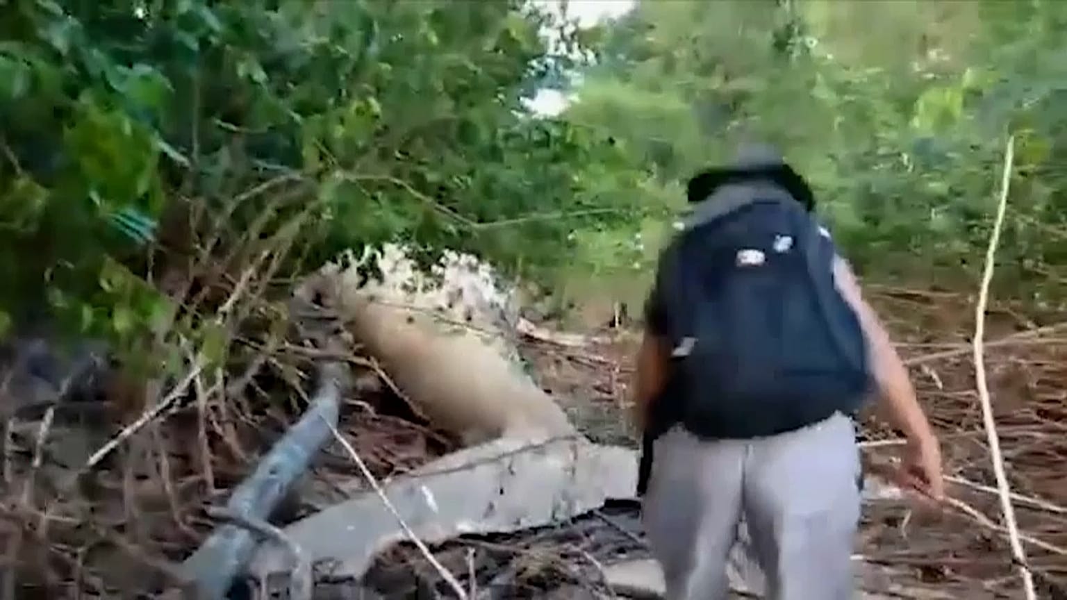 شاهد: دون تعليق في أسبوع