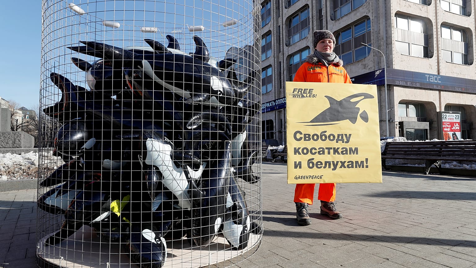 Moscú, Rusia. 19 de febrero, 2019. 