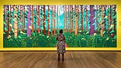 Hockney — Van Gogh: The Joy of Nature