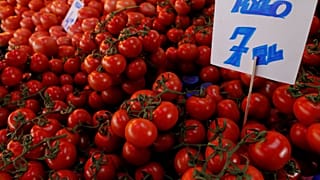 Türkiye'de enflasyon şubat ayında da yükseldi; yıllık bazda yüzde 19,76 oldu
