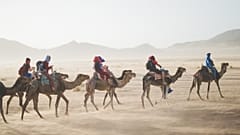 Best eco-travel Instagram to follow 