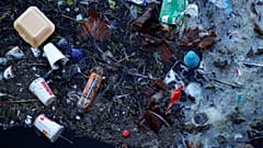 L'ultimo rapporto Wwf: basta plastica adesso