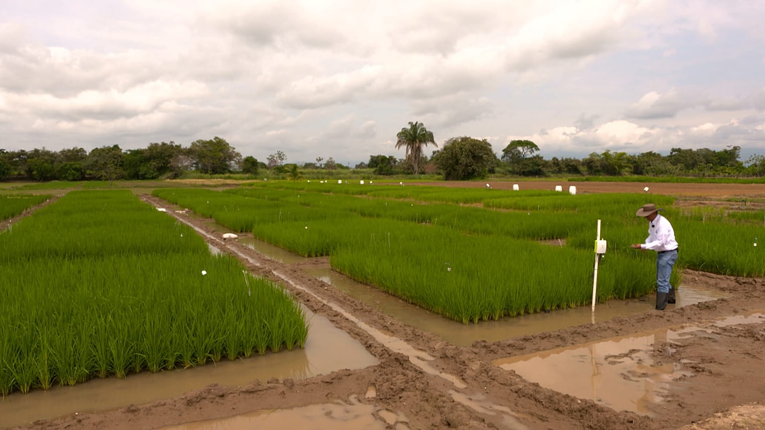 Le nuove tecnologie che cambiano l'agricoltura