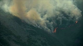  "En Asturias se normaliza la cultura del fuego", según la Coordinadora Ecologista 