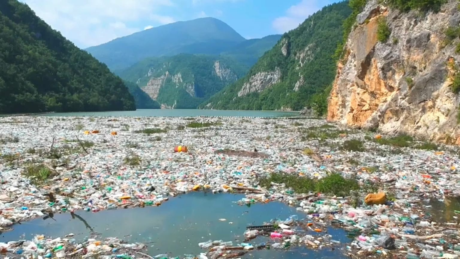 WWF alerta para a urgência de acabar com a poluição de plástico