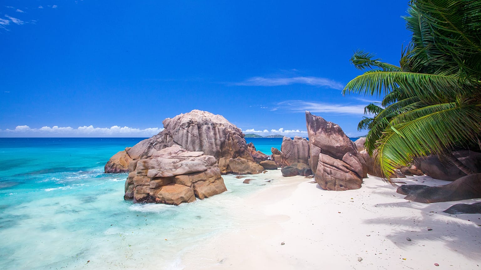 Saving the Seychelles: plastic washes up on shores hardly touched by mankind