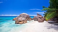 Saving the Seychelles: plastic washes up on shores hardly touched by mankind