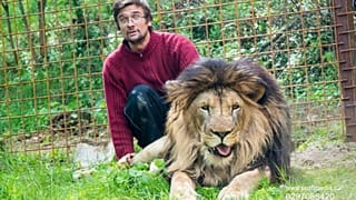République tchèque : un homme tué par son lion qu'il élevait sans autorisation