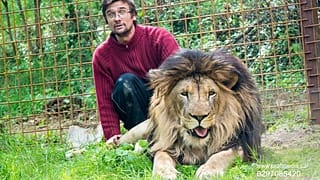 Muere por el ataque del león que tenía como mascota ilegalmente