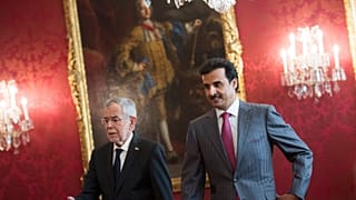 أمير دولة قطر الشيخ تميم ورئيس النمسا ألكسندر فان دير بيلين