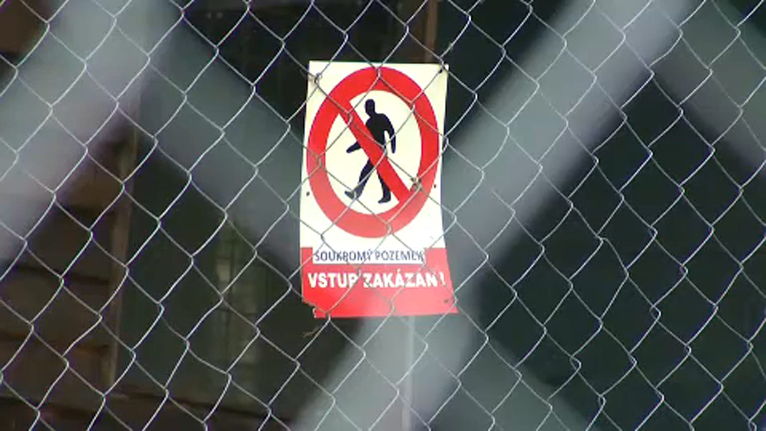 Tragikus véget ért az oroszlántartás Csehországban