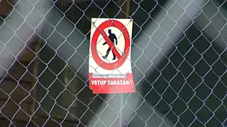 Tragikus véget ért az oroszlántartás Csehországban
