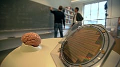 The Human Brain Project: Slicing brains and thinking machines 