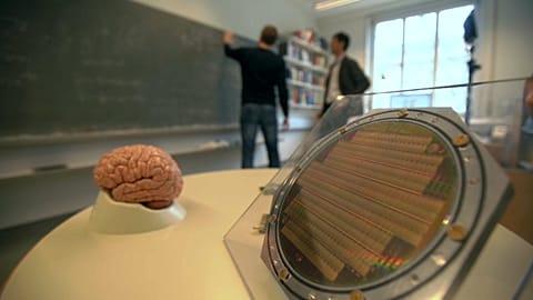 The Human Brain Project: Slicing brains and thinking machines 