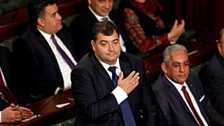 وزير السياحة التونسي روني الطرابلسي