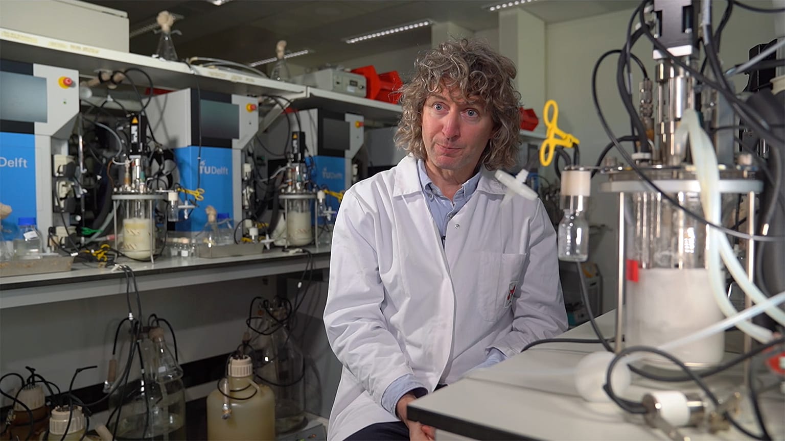 "Les levures ont du potentiel pour fabriquer des plastiques biodégradables"