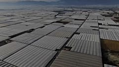 Invernaderos de Almería