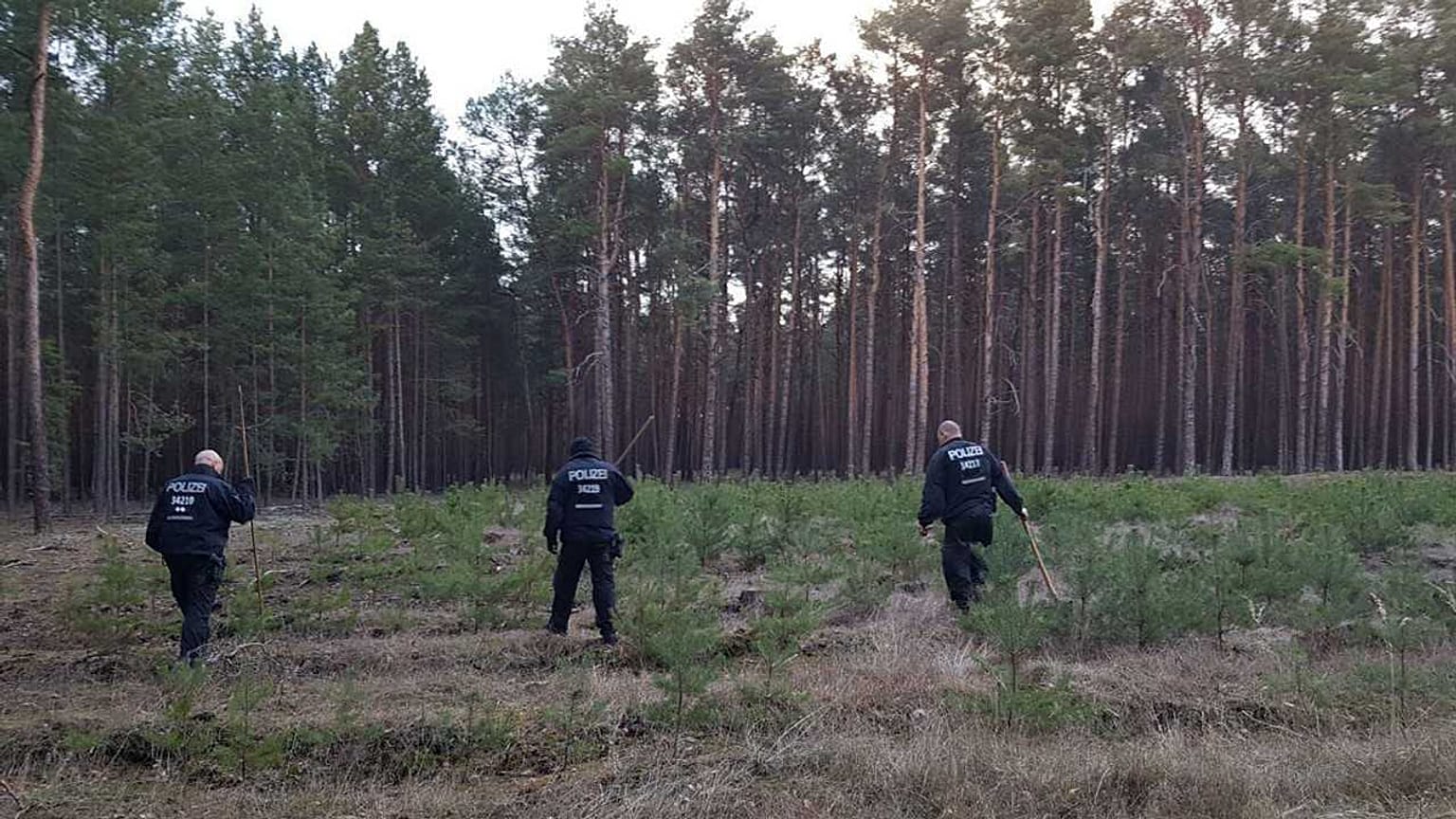 Keine heiße Spur im Fall Rebecca? 700 Hinweise und die Suche im Wald