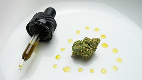Cannabis oil.