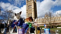 Settimana decisiva per la Brexit
