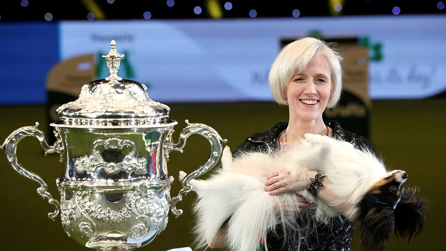 Dylan lett a "Crufts" győztese