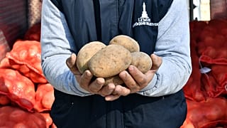 Dünya'nın en büyük üreticilerinden Türkiye patates ithalatı için vergiyi sıfırladı