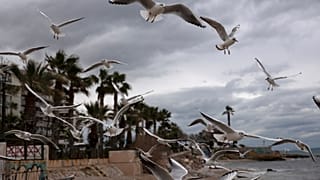 Προβλήματα στις ακτοπλοϊκές συγκοινωνίες – Βροχές, καταιγίδες και πτώση της θερμοκρασίας