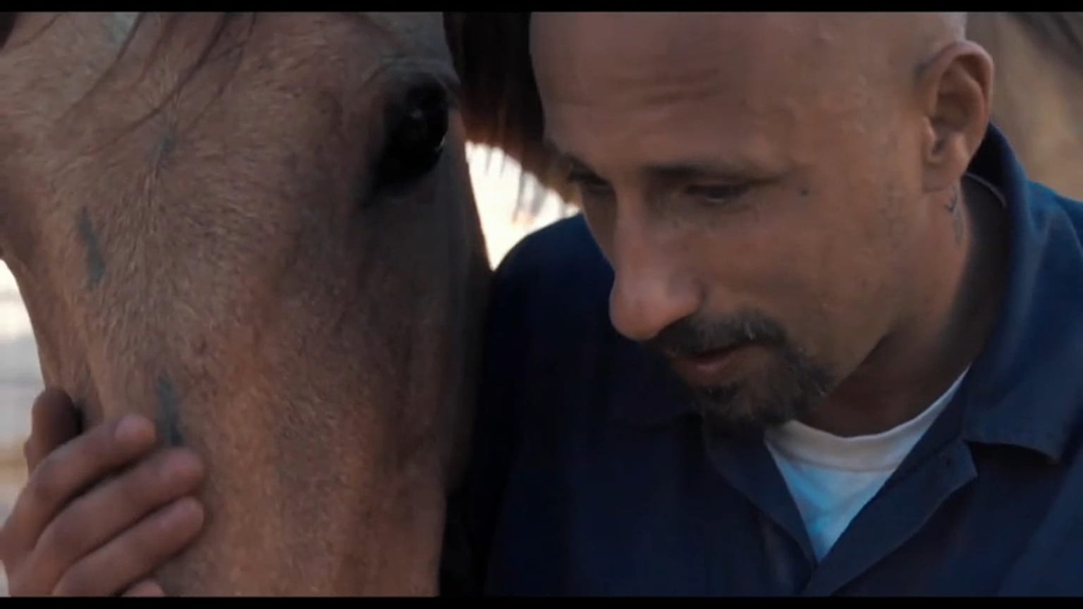 Tras Sundance, 'The Mustang' llega a las salas de EE.UU.
