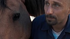„Mustang“ - das wilde Pferd als Therapeut