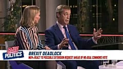 MEPs react to possible extension of Brexit deadline | Raw Politics